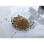 Bacillus Subtilis - Manufacturer - Top Quality Water Treatment Material