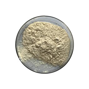 Monk Fruit Extract - Manufacturer - Organic Zero Calorie Natural Sweetener