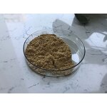 Bacillus Amyloliquefaciens - Manufacturer - Feed Grade Pure Powder Bulk