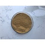 Ginseng Extract - Manufacturer - Red Korean Root Extract High Quality