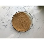 Horsetail Grass Extract - Manufacturer - Equisetum Arvense Pure Bulk Price