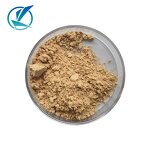 Silymarin Extract - Manufacturer - Milk Thistle Water Soluble Natural Powder