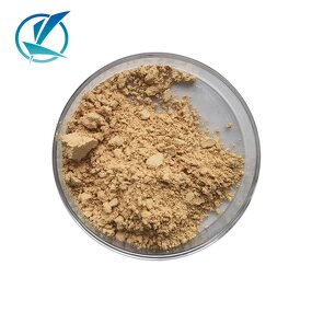 Silymarin Extract - Manufacturer - Milk Thistle Water Soluble Natural Powder