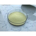 Retinol Powder - Manufacturer - Vitamin A Pure Raw Material Bulk