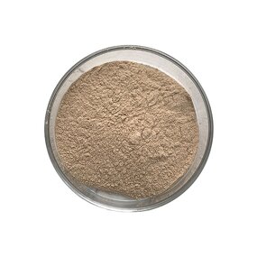 Bacillus Coagulans - Manufacturer - Top Quality Probiotic Bacteria Powder