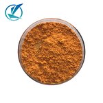 Turmeric Extract - Manufacturer - Top Quality Curcumin Factory Direct Sell