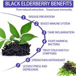 Elderberry Gummies Manufacturer - Custom Logo Organic for Immune Support