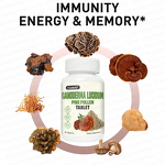 Ganoderma Lucidum Tablets Manufacturer - Private Label Extract with Pine Pollen