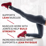 Whey Protein Powder Manufacturer - Custom Label Body Fortress Super Advanced