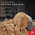 Whey Protein Powder Manufacturer - Wholesale Chocolate Gold Standard