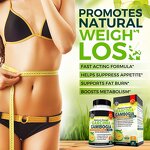 Garcinia Cambogia Capsules Manufacturer - Fast Effective for Belly Fat & Metabolism