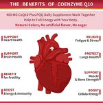 COQ10 Softgel Capsules Manufacturer - OEM Private Label for Heart Health & Energy