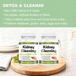 Kidney Cleanse Tablets Manufacturer - Natural Herbs for Detoxification & Energy