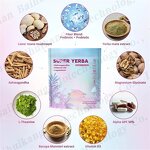 Yerba Mate Tea Powder Manufacturer - Wholesale 3-in-1 Instant for Focus & Gut