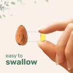 Oregano Oil Softgel Manufacturer - 4X Strength with Carvacrol & Thymoquinone