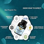 Bee Propolis Softgel Capsule Manufacturer - Most Popular Food Supplement