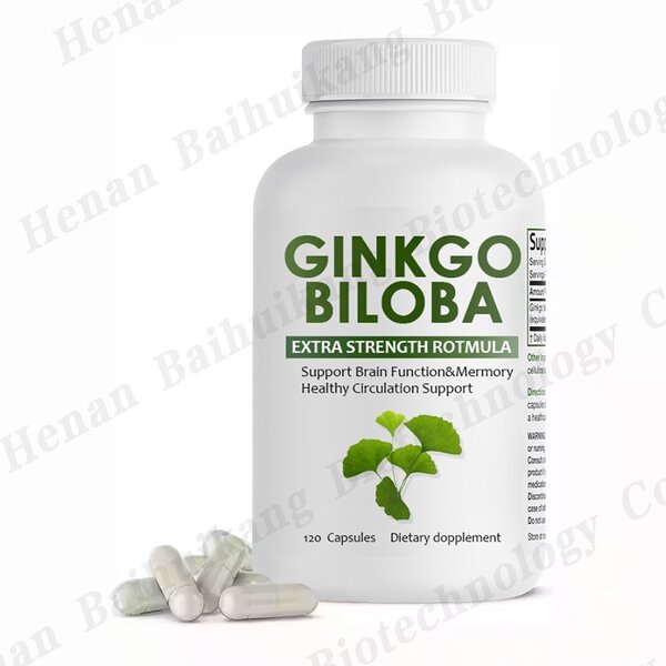Ginkgo Biloba Capsules Manufacturer - High Quality Extract for Memory & Brain