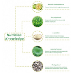 Slimming Fat Burner Capsules Manufacturer - Top Selling for Flat Tummy & Digestion