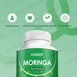 Moringa Capsules Manufacturer - Organic Leaf Extract for Energy & Joints