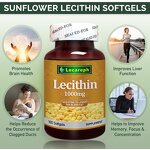 Lecithin Softgel Capsules Manufacturer - for Liver, Brain Health & Memory