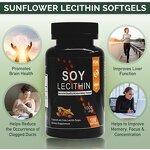 Soy Lecithin Supplement Manufacturer - for Brain, Liver & Breast Health