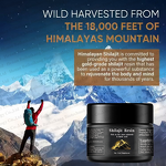 Shilajit Resin Manufacturer - Wholesale Himalayan Black Rich in 85+ Minerals