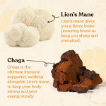 Mushroom Coffee - Manufacturer - Four Sigmatic Lions Mane Chaga Rhodiola Energy Focus