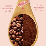 Mushroom Cocoa Coffee - Manufacturer - Organic Ganoderma Hericium 21g*15 Sachets Immunity