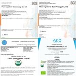 Matcha Latte - Manufacturer - Organic Japanese Slimming 150g Bulk Box Ceremonial Grade