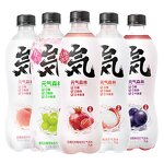 Sparkling Water - Manufacturer - Vitality Forest 480mL Low-Fat Zero Sugar Chocolate Coffee