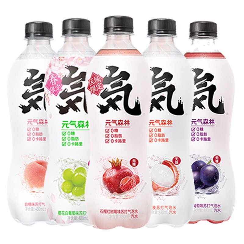 Sparkling Water - Manufacturer - Vitality Forest 480mL Low-Fat Zero Sugar Chocolate Coffee