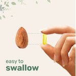 Berberine Capsules - Manufacturer - 3000mg Ceylon Cinnamon Chromium Turmeric GMP Certified