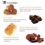 Mushroom Coffee - Manufacturer - Garcinia Cambogia Cream Flavor Immunity Focus Instant