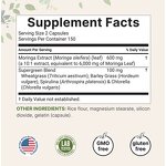 Moringa Capsules - Manufacturer - Micro Supplement Superfood Extract 300 Vegetarian