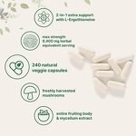 Lions Mane Capsules - Manufacturer - Micro Ingredients 8400mg L-Ergothioneine 240 Vegan