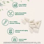 B Complex Capsules - Manufacturer - Micro Ingredients Methylated 240 Pure Capsules