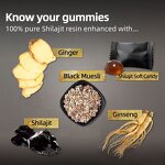 Shilajit Gummies - Manufacturer - Pure Himalayan Ashwagandha Fulvic Acid Natural Minerals