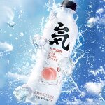 Sparkling Water - Manufacturer - Vitality Forest 480mL Low-Fat Zero Sugar Chocolate Coffee