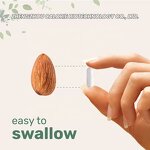 B Complex Capsules - Manufacturer - Micro Ingredients Methylated 240 Pure Capsules