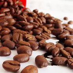 Coffee Beans - Manufacturer - 500g 50% Arabica Medium Dark Roast Organic Italian Espresso