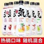 Sparkling Water - Manufacturer - Vitality Forest 480mL Low-Fat Zero Sugar Chocolate Coffee