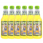Soda Drink - Manufacturer - OEM/ODM 500ml*12 Orange Grape Watermelon Green Apple Bottle