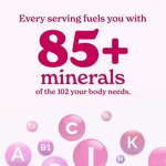 Shilajit Sticks - Manufacturer - Strawberry Flavor Organic Honey Energy Boost 30 Sticks