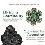 Alpha Gummies - Manufacturer - Private Label 10-in-1 Vegan Ashwagandha Energy Immune