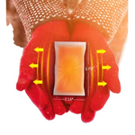 Hand Warmers Manufacturer - Wholesale NY Brand Portable Mini Pocket for Children