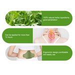 Pain Relief Patch Manufacturer - OEM Private Label Herbal Natural for Joint and Knee