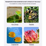 Pet Heat Pack Manufacturer - Wholesale Disposable, 40/72/110 Hours for Animals