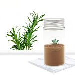 Rosemary Extract Powder Manufacturer - High Quality Natural Cosmetic Raw Material