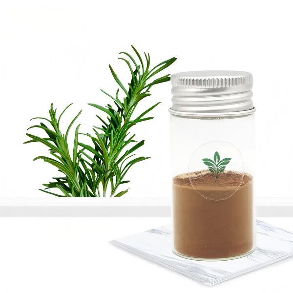 Rosemary Extract Powder Manufacturer - High Quality Natural Cosmetic Raw Material