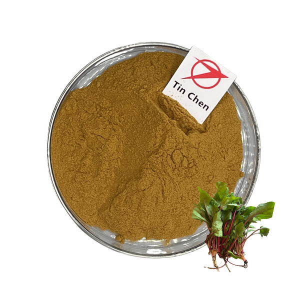 Red Spinach Extract - Manufacturer - 10:1-100:1 Multiple Specifications Powder